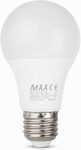 Max 10 Watt Bulb
