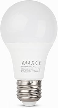 Max 10 Watt Bulb