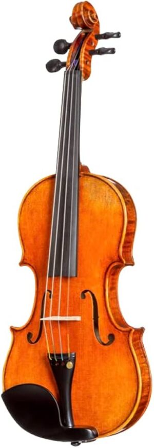 Brand New Violin Multi-Color